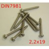 Tornillo DIN 7981 DIN7981 2,2x19mm INOX A2 Roscachapa Tapping screw